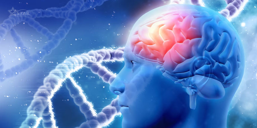 Neurology and Neurosurgery